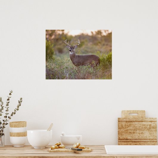 White-tailed Deer | Fall in Texas ポスター (キッチン)