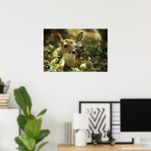 White-tailed Deer Fawn ポスター (ホームオフィス)