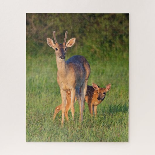White-tailed Deer | Grassy Habitat ジグソーパズル (縦)
