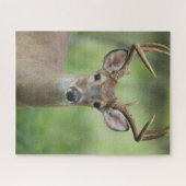White-tailed Deer | Hill Country, Texas ジグソーパズル (横)