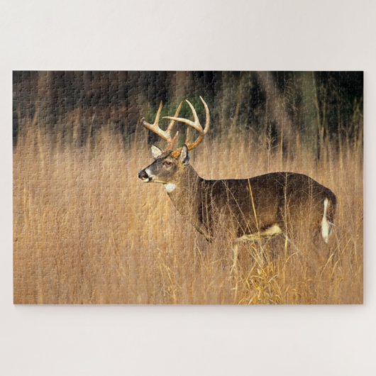 White-tailed Deer | Smoky Mountains Tennessee ジグソーパズル (横)
