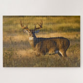 White-tailed Deer | South Texas ジグソーパズル (横)