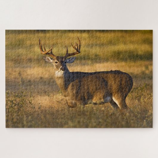 White-tailed Deer | South Texas ジグソーパズル (横)