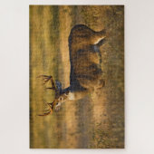 White-tailed Deer | South Texas ジグソーパズル (縦)