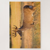 White-tailed Deer | South TX ジグソーパズル (縦)