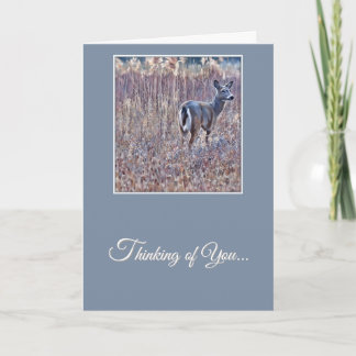 White-Tailed Deer - Thinking of You Card カード