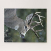 White-tailed Deer | Washington State ジグソーパズル (横)