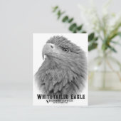 White-tailed Eagle ポストカード (スタンド正面)