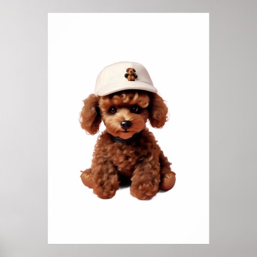 White Teacup Poodle Folder ポスター (正面)
