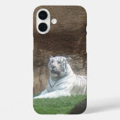 White Tiger Case-Mate iPhoneケース (裏面)