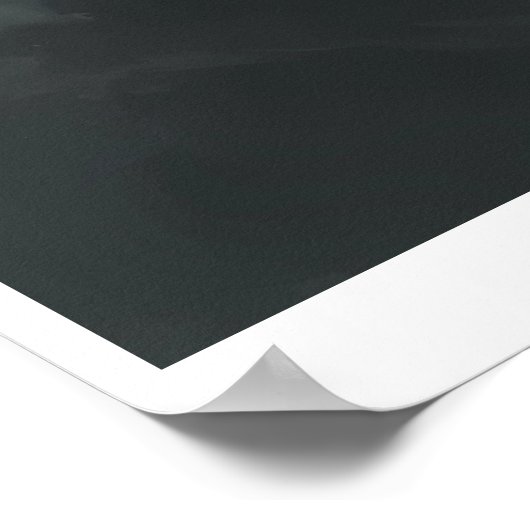 White Tiger – Frost King Ice Burst Descent – ManJi ポスター (角)