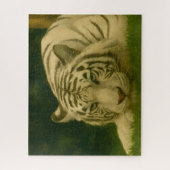 White Tiger Resting in Woodland Shade ジグソーパズル (縦)