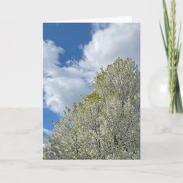 White Tree Blue Sky Clouds Photo カード
