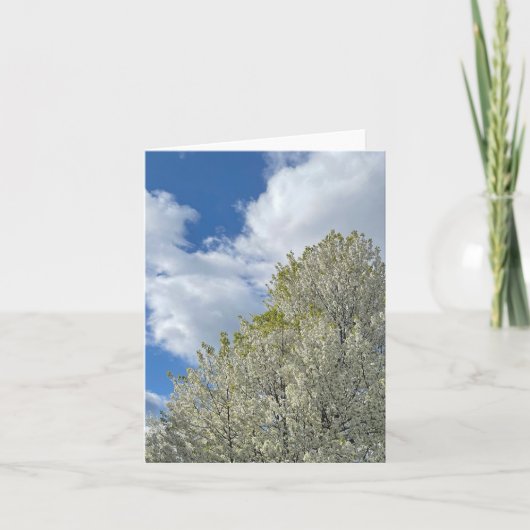 White Tree Blue Sky Clouds Photo ノートカード (正面)