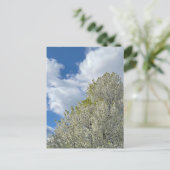 White Tree Blue Sky Clouds Photo ポストカード (スタンド正面)