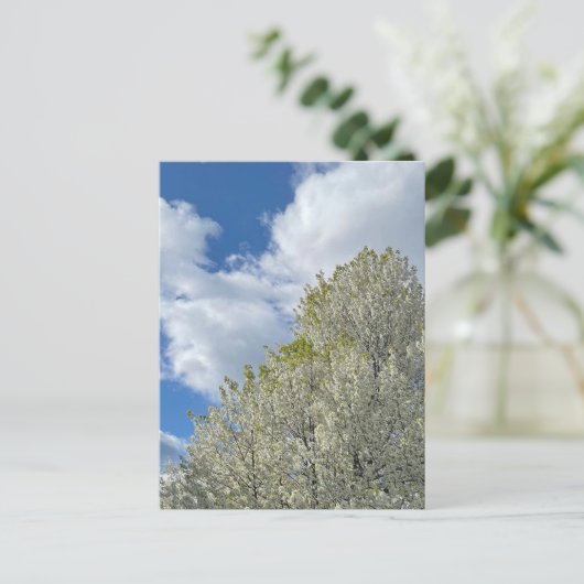 White Tree Blue Sky Clouds Photo ポストカード (スタンド正面)