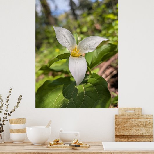 White Trillium Forest Flower Macro ポスター (キッチン)