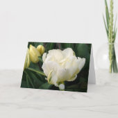 White Tulips Greeting Card 案内状 (正面)