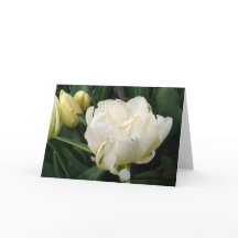 White Tulips Greeting Card