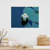 White water lily in the pond, nature photography ポスター (キッチン)