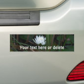 White Water Lily Lotus Flower Personalized バンパーステッカー (車上)