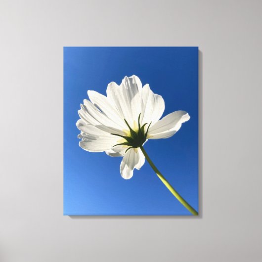 White Wild Flower Canvas Art キャンバスプリント (正面)