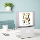 White Yellow Daffodils Spring Easter Wedding  シール (デスク上のノートパソコン)