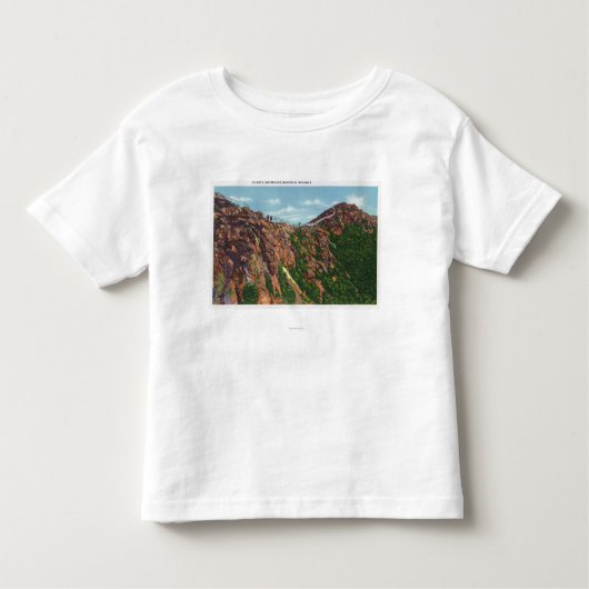 Whiteface Mt頂上の眺め トドラーTシャツ (正面)