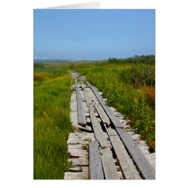 Whiteheadの島、NB (正面)