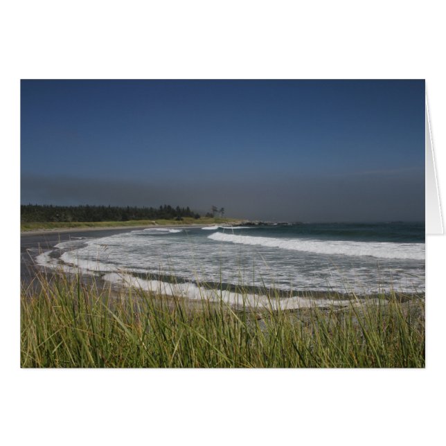 Whiteheadの島、NB (正面横)