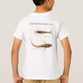 WhiteLifePhotography Eriphia-Palaemon-Parablennius Tシャツ (裏面)