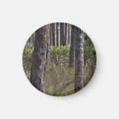 Whitetail Buck photo magnet マグネット (正面)