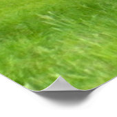 WhiteTail Deer (Doe and Fawn)ポスター ポスター (角)