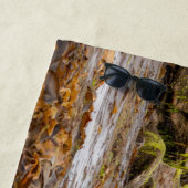 Whitley Bay lighthouse  ビーチタオル (インサイチュ)