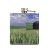 Whitman 2のムギ及びオオムギ分野の赤い納屋 フラスク (裏面)