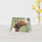 Whitman Notecard カード (黄色い花)