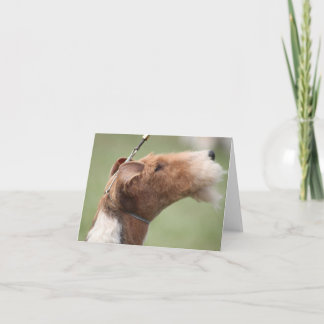 Whitman Notecard カード