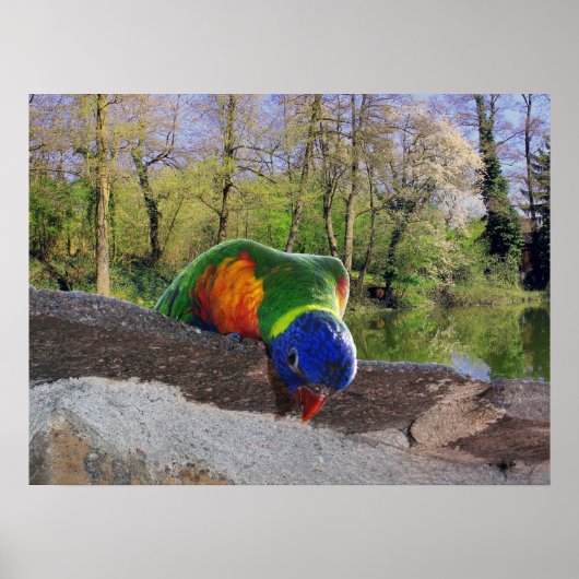 Who are you? Cute Lori ポスター (正面)