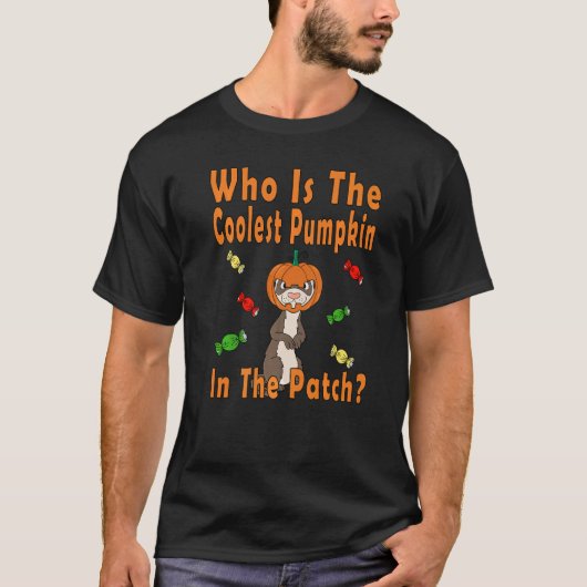 Who Is The Coolest Pumpkin In The Patch Ferret Tシャツ (正面)