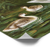 "Whooper Swan"ヴィンテージバードイラストレーション ポスター (角)