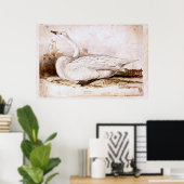 Whooper swan (cygnus cygnus) 1835, Lear, Edward ポスター (ホームオフィス)