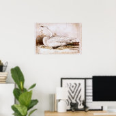 Whooper swan (cygnus cygnus) 1835, Lear, Edward ポスター (ホームオフィス)