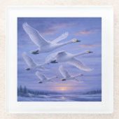 Whooper Swans at Dusk ガラスコースター (正面)