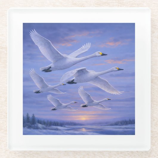 Whooper Swans at Dusk ガラスコースター (正面)