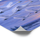 Whooper Swans in Winter Sky – Japanese Wild Bird ポスター (角)