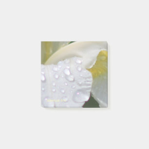 Whtieのシベリアのアイリス雨低下 ポストイット