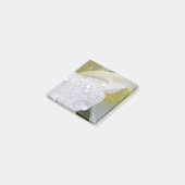 Whtieのシベリアのアイリス雨低下 ポストイット (アングル)