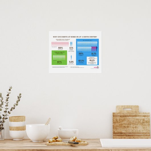 Why Home Birth Infographic 20" x 16” Poster ポスター (キッチン)