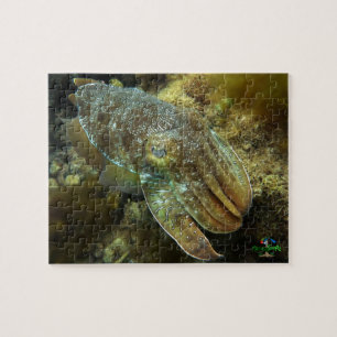 WhyallaのジグソーパズルPuzzの巨大なオーストラリアのCuttlefish ジグソーパズル