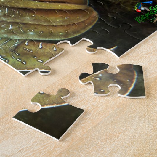 WhyallaのジグソーパズルPuzzの巨大なオーストラリアのCuttlefish ジグソーパズル (側面)